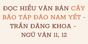 Đọc hiểu văn bản Cây bão táp đảo Nam Yết