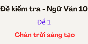 Đề kiểm tra Ngữ Văn 10