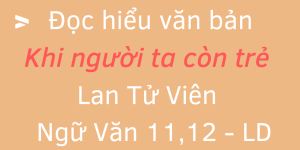 Đọc hiểu văn bản Khi người ta còn trẻ Lan Tử Viên