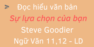 Đọc hiểu văn bản Sự lựa chọn của bạn Steve Goodier