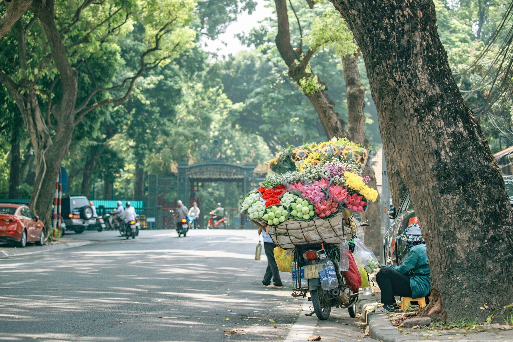 Đất Nước Bài 9 Chân trời sáng tạo 