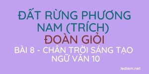 Đất rừng phương Nam Bài 8 Chân trời sáng tạo 