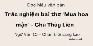 Đọc hiểu Mùa hoa mận