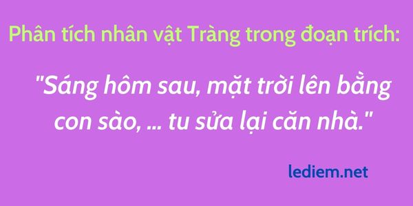 Phân tích nhân vật Tràng trong đoạn trích Sáng hôm sau mặt trời lên bằng con sào tu sửa lại căn nhà