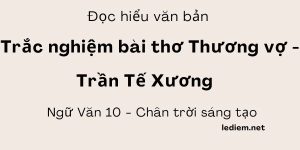 Đọc hiểu Thương vợ