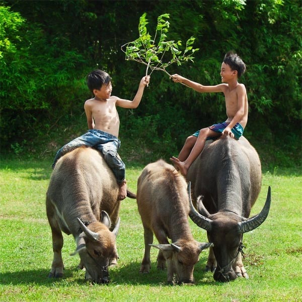 Đọc hiểu Mảnh hồn làng