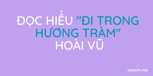 Đọc hiểu Đi trong hương tràm