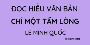 Đọc hiểu Chỉ một tấm lòng Lê Minh Quốc