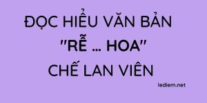 Đọc hiểu văn bản Rễ hoa Chế Lan Viên