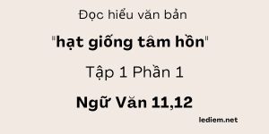 Đọc hiểu hạt giống tâm hồn tập 1 phần 1