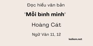 Đọc hiểu Mỗi bình minh