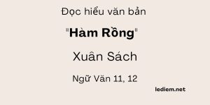 Đọc hiểu Hàm Rồng (Xuân Sách)