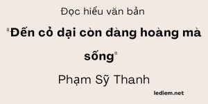 Đọc hiểu Đến cỏ dại còn đàng hoàng mà sống (Phạm Sỹ Thanh)