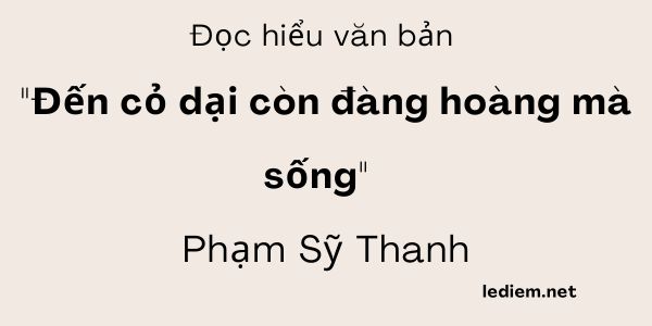 Hoa bồ công anh có liên quan đến ngành công nghiệp nào?
