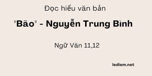 Đọc hiểu Bão Nguyễn Trung Bình