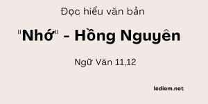 Đọc hiểu Nhớ Hồng Nguyên