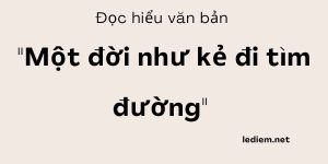 Đọc hiểu Một đời như kẻ đi tìm đường