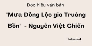 Đọc hiểu Mưa Đồng Lộc gió Truông Bồn