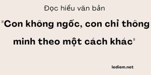 Đọc hiểu con không ngốc con chỉ thông minh theo một cách khác