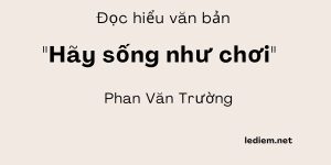 Đọc hiểu Hãy sống như chơi