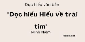 Đọc hiểu Hiểu về trái tim