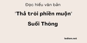 Đọc hiểu Thả trôi phiền muộn