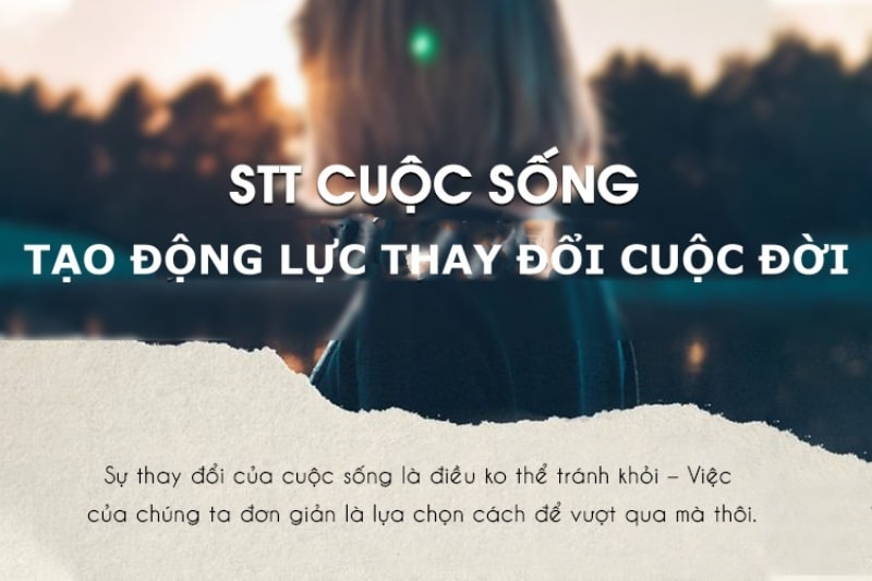 Đọc hiểu Hãy sống như chơi