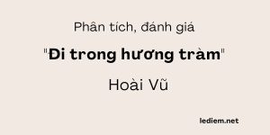 phân tích đánh giá bài đi trong hương tràm