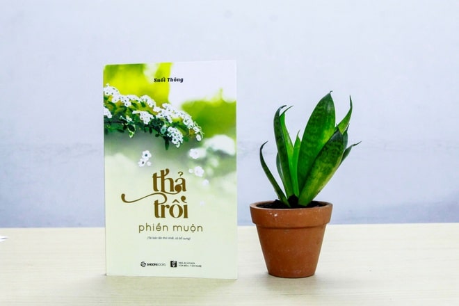 Đọc hiểu Thả trôi phiền muộn