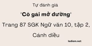 Tự đánh giá trang 87 ngữ văn 10 cánh diều tập 2