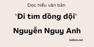 Đọc hiểu Đi tìm đồng đội