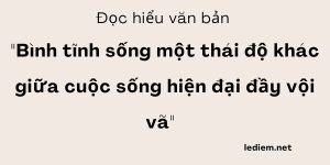 Đọc hiểu Bình tĩnh sống một thái độ khác giữa cuộc sống hiện đại đầy vội vã