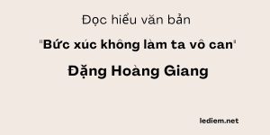 Đọc hiểu Bức xúc không làm ta vô can