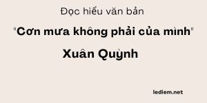 Đọc hiểu Cơn mưa không phải của mình