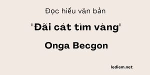 Đọc hiểu Đãi cát tìm vàng