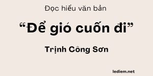 Đọc hiểu Để gió cuốn đi