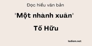 Đọc hiểu Một nhành xuân