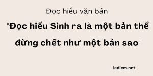 Đọc hiểu Sinh ra là một bản thể đừng chết như một bản sao