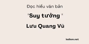 Đọc hiểu Suy tưởng