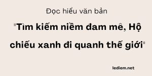 Đọc hiểu Tìm kiếm niềm đam mê