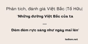 Phân tích những đường Việt Bắc của ta