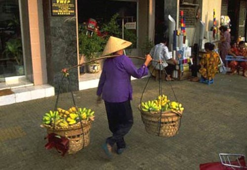 Đọc hiểu Những ngôi sao hình quang gánh