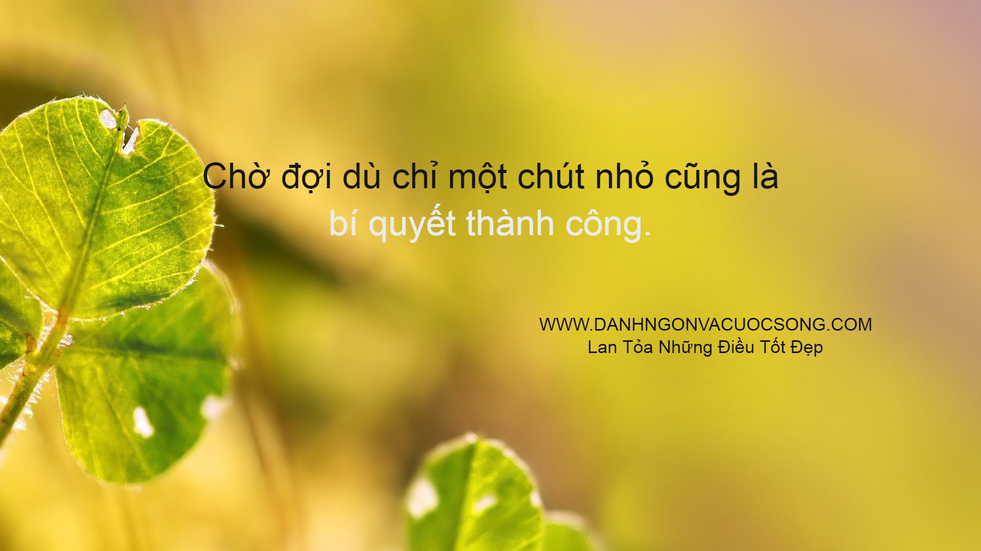 Đọc hiểu Không có gì tự đến đâu con