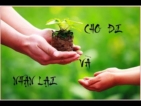 Đọc hiểu Lời khuyên cuộc sống