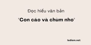 Đọc hiểu Con cáo và chùm nho