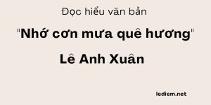 Đọc hiểu Nhớ cơn mưa quê hương