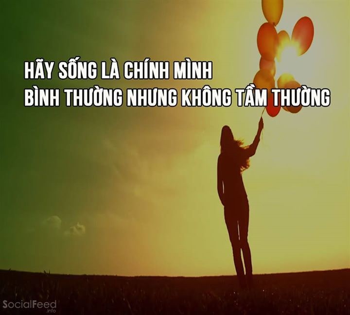 Đọc hiểu Dù bạn là gì đi nữa hãy là cái tốt nhất