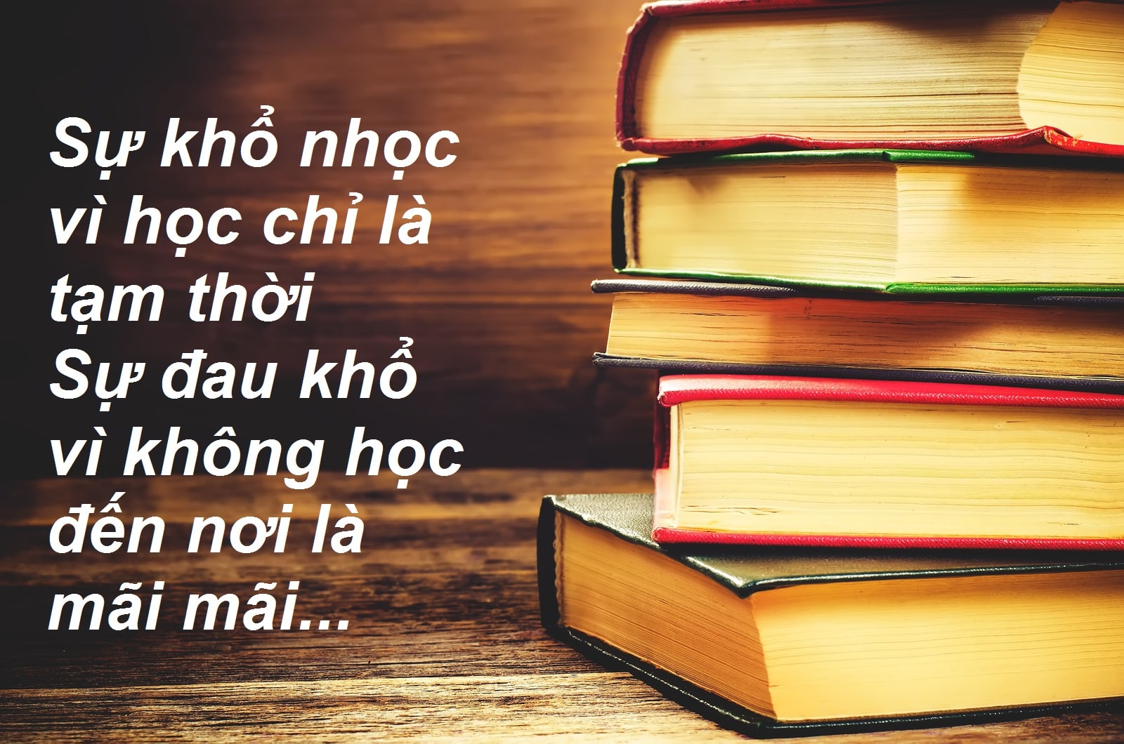 Đọc hiểu Cho đi là còn mãi