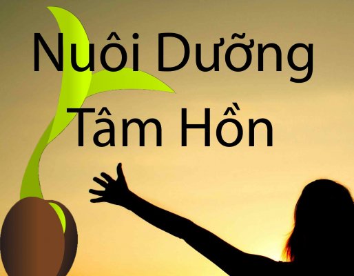 Đọc hiểu Nuôi dưỡng tâm hồn nơi chính bạn