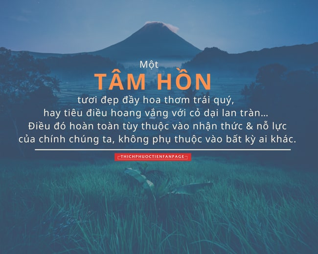 Đọc hiểu Nuôi dưỡng tâm hồn nơi chính bạn